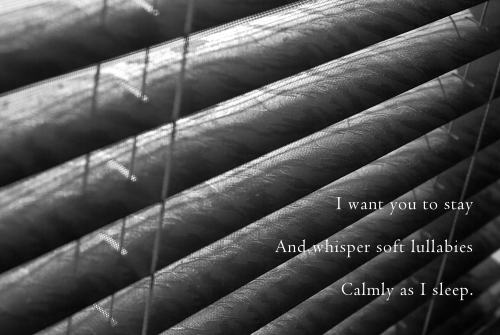 naviarhaiku089-I-want-you-to-stay