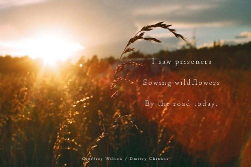 Naviarhaiku129-I-saw-prisoners