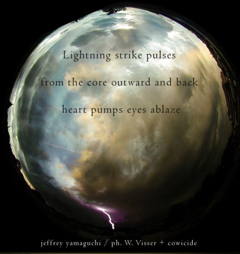 Naviarhaiku133-Lightning-strike-pulses