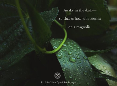 Naviarhaiku147-–-Awake-in-the-dark