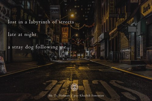 Naviarhaiku167-–-lost-in-a-labyrinth-of-streets