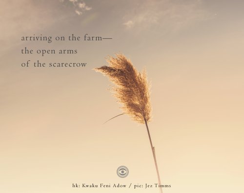 Naviarhaiku183-–-arriving-on-the-farm-scaled