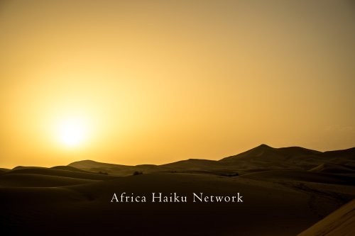 Spotlight-Africa-Haiku-Network-scaled