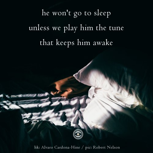 Naviarhaiku226-–-he-wont-go-to-sleep-scaled