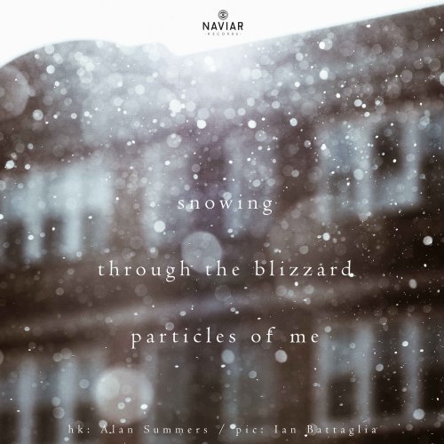 naviarhaiku270-–-snowing-scaled