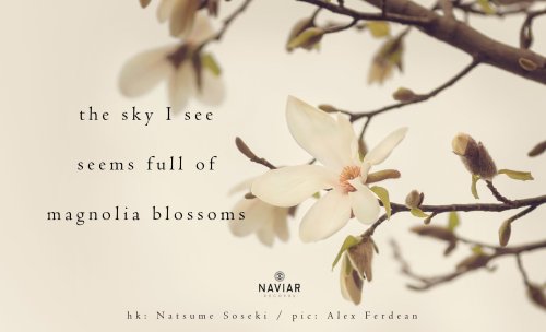 naviarhaiku282-–-the-sky-I-see