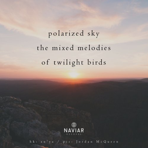 naviarhaiku290-–-polarized-sky-scaled