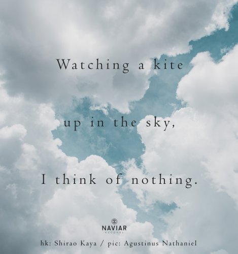 naviarhaiku298-–-Watching-a-kite-scaled