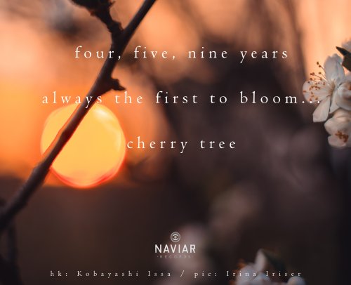 naviarhaiku300-–-four-five-nine-years-scaled