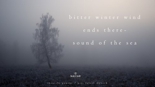 naviarhaiku309-bitter-winter-wind-scaled