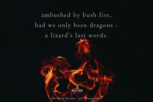 naviarhaiku315-ambushed-by-bush-fire-scaled