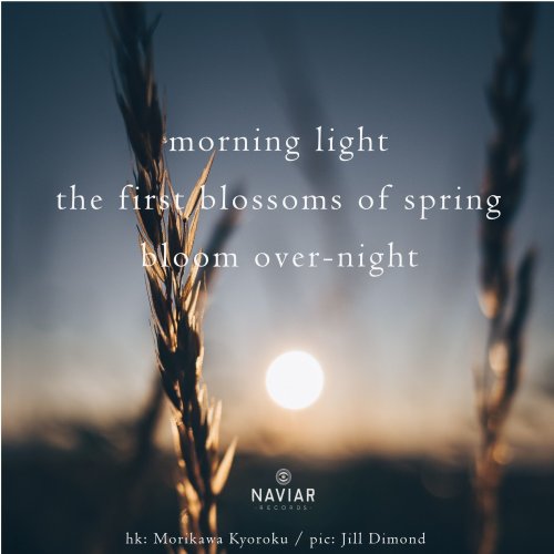 naviarhaiku367-morning-light