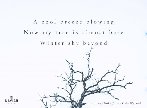 naviarhaiku415-A-cool-breeze-blowing