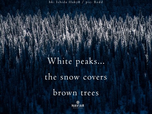 naviarhaiku455-White-peaks