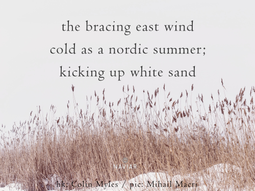 naviarhaiku457-the-bracing-east-wind